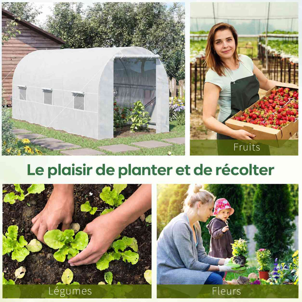 Serre tunnel et exemples de cultures de fruits, légumes et fleurs
