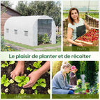 Serre tunnel et exemples de cultures de fruits, légumes et fleurs