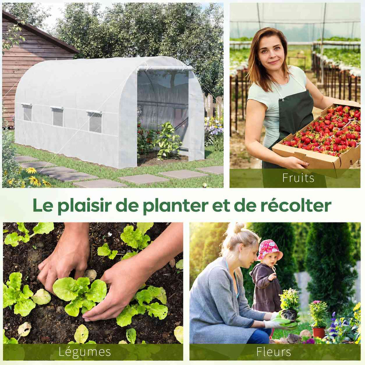 Serre tunnel et exemples de cultures de fruits, légumes et fleurs