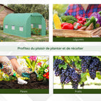 Serre tunnel et exemples de légumes, fleurs et raisins