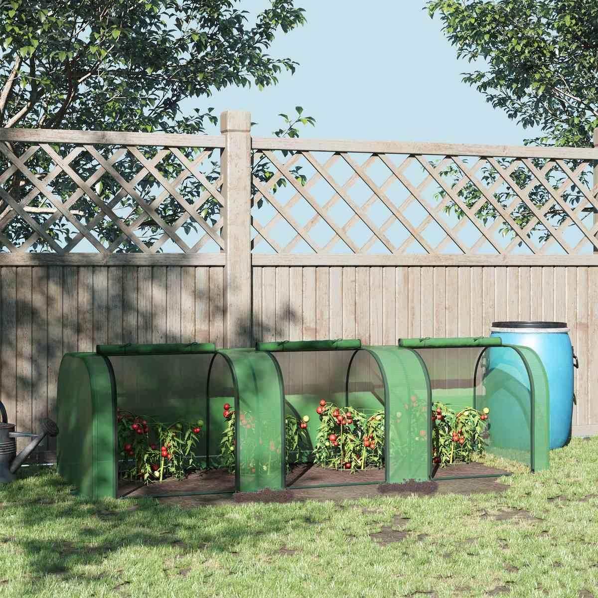 Mini serre verte avec cultures près d’un treillage