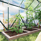 Plants de tomates dans un bac à l’intérieur de la serre