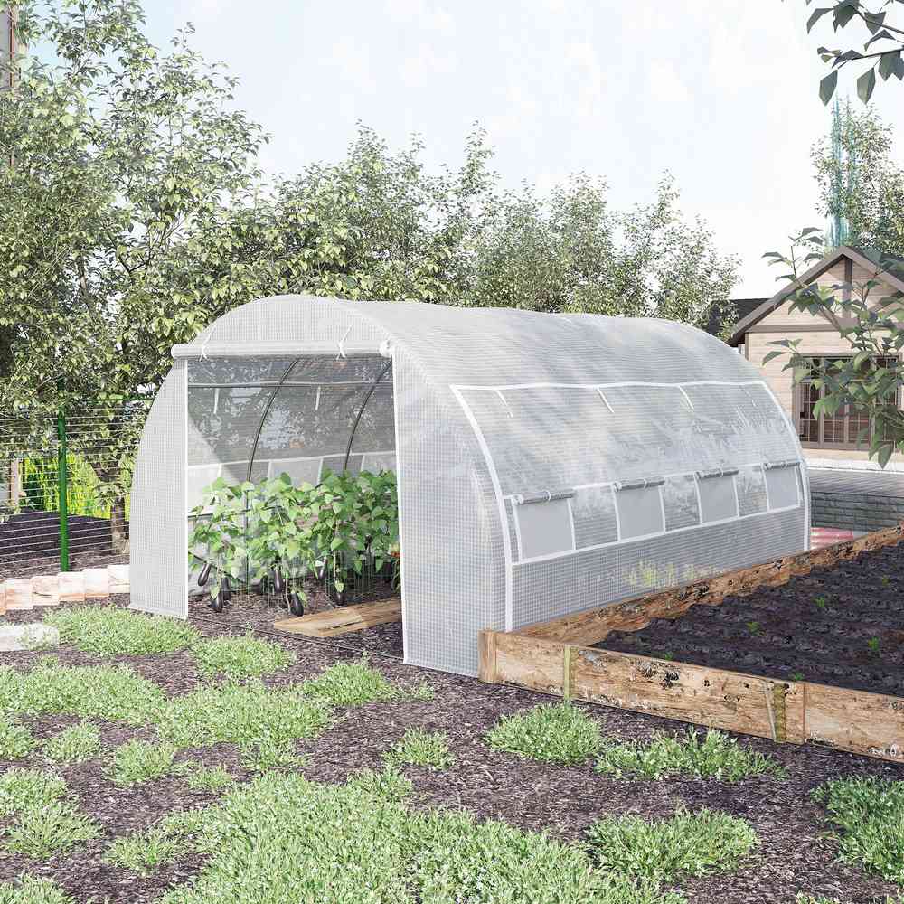 Serre blanche avec plantes près d’un bac potager