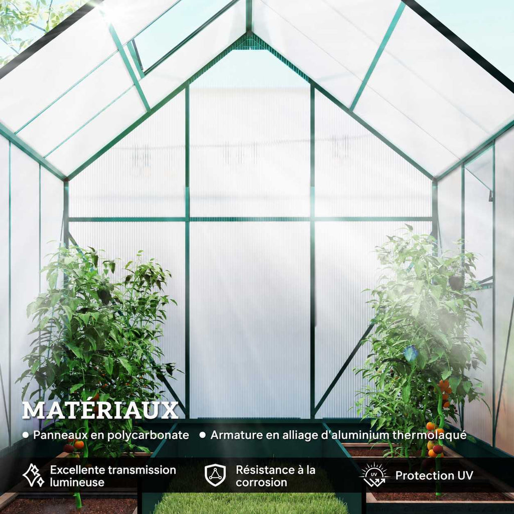 Intérieur de la serre verte avec plants de tomates dans les bacs