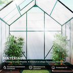 Intérieur de la serre verte avec plants de tomates dans les bacs
