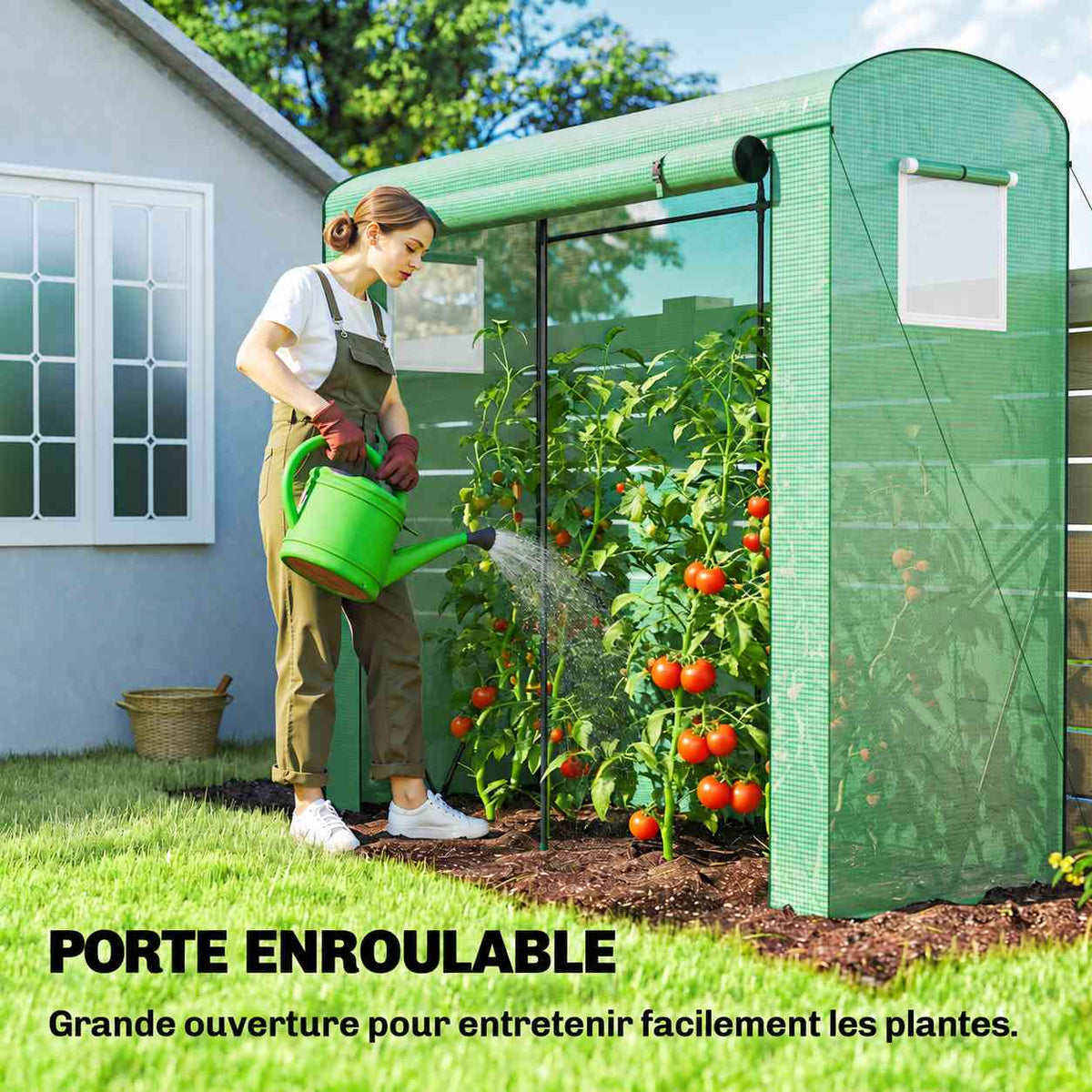 Femme arrosant les tomates devant la serre verte ouverte