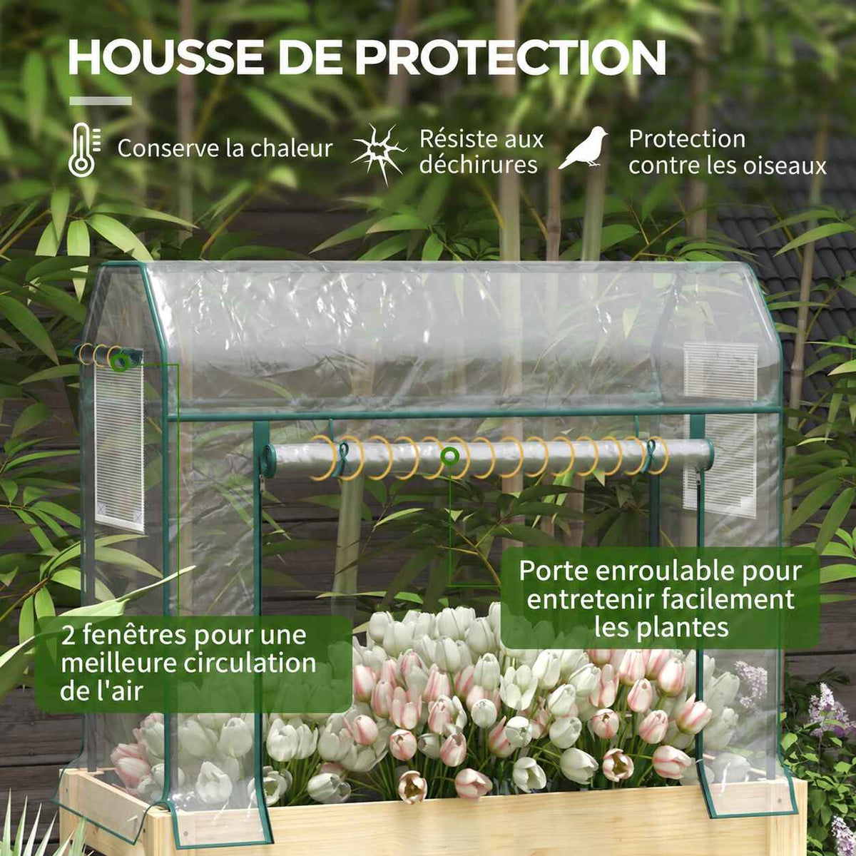 Détail des fenêtres et de la porte enroulable de serre