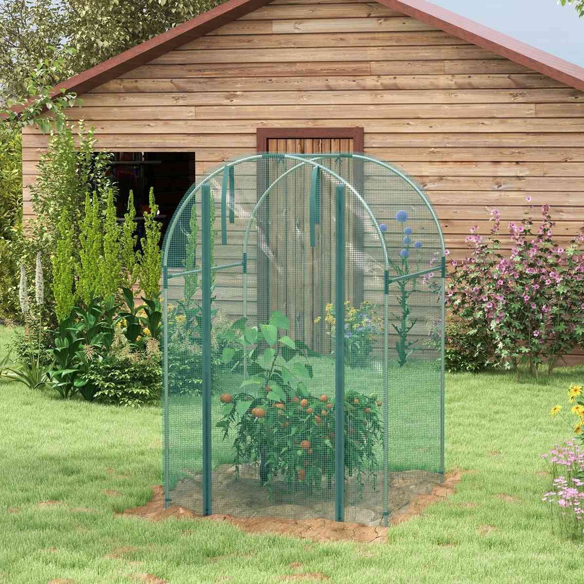 Cage fruitière verte avec plantes près d’un abri en bois