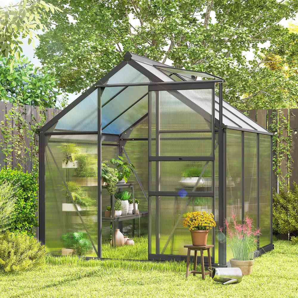 Serre gris foncé au jardin avec plantes et porte ouverte