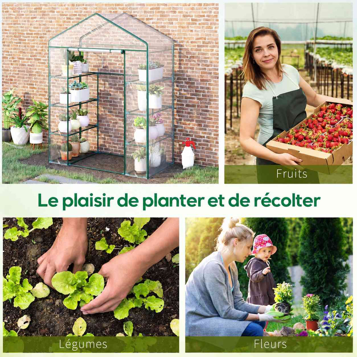 Serre à étagères et exemples de cultures de fruits, légumes et fleurs