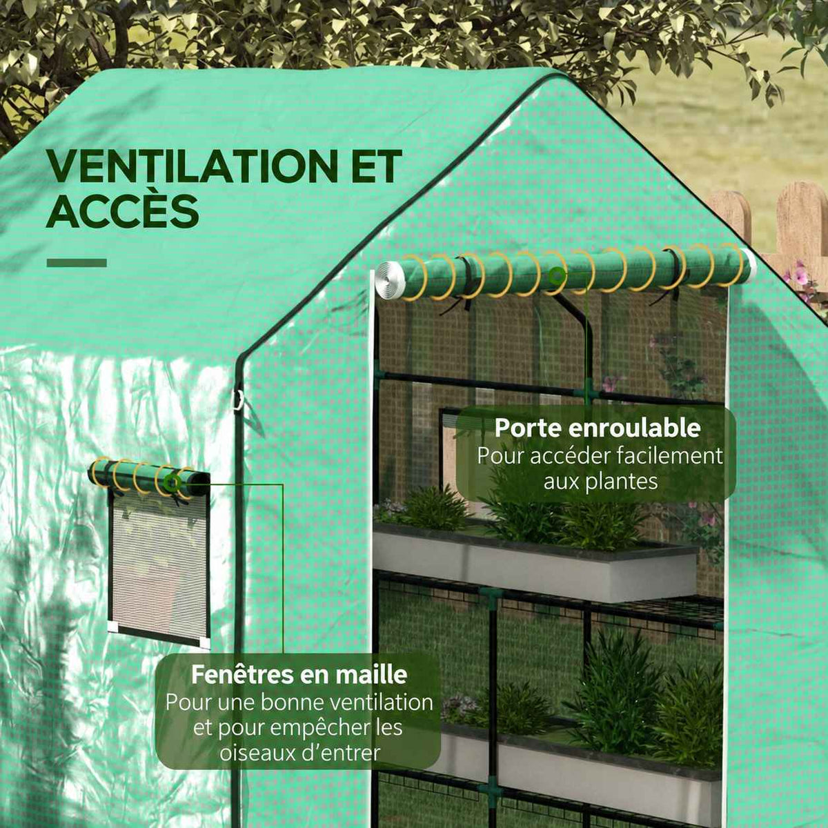 Porte enroulée et fenêtres à moustiquaire de la housse verte