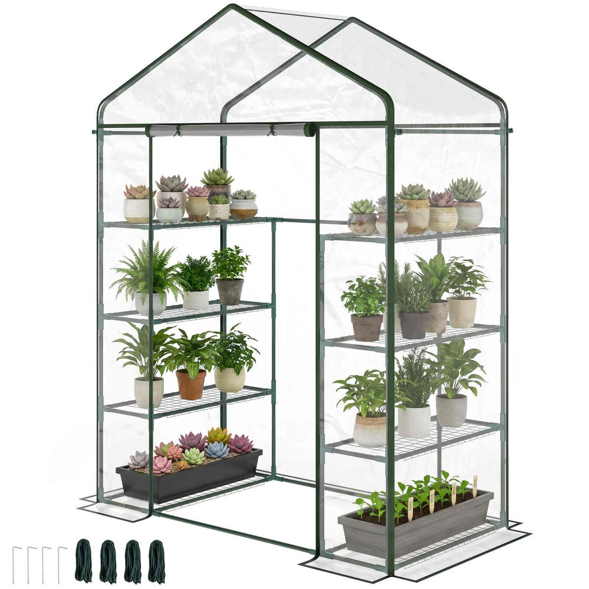 Serre transparente avec plantes en pots et piquets d’ancrage fournis