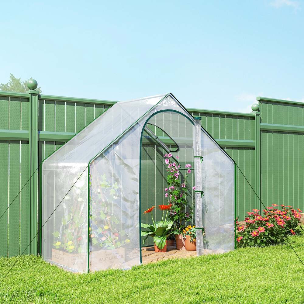 Serre transparente avec plantes sur une pelouse