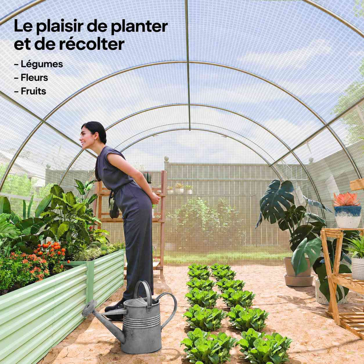 Jardinière s’occupant des cultures dans la serre tunnel