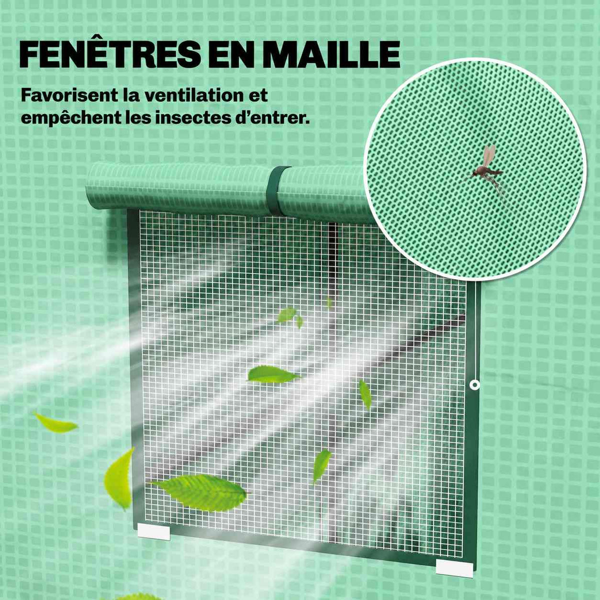 Fenêtre à moustiquaire de la serre à tomates verte