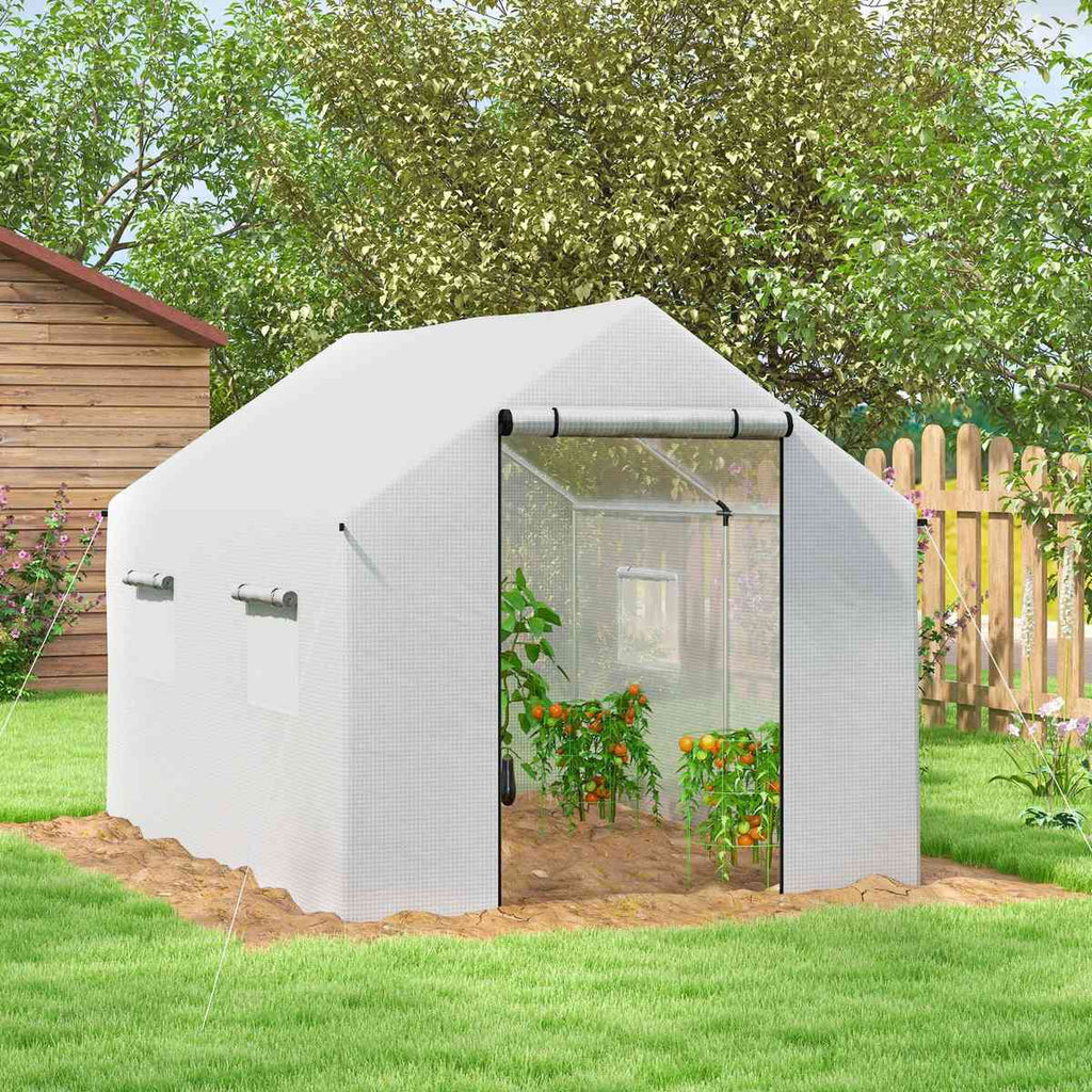 Serre blanche avec plants de tomates dans un jardin