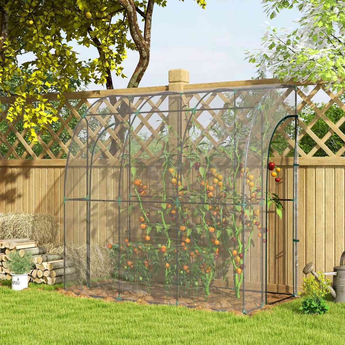 Serre adossée transparente abritant des tomates près d’une clôture en bois