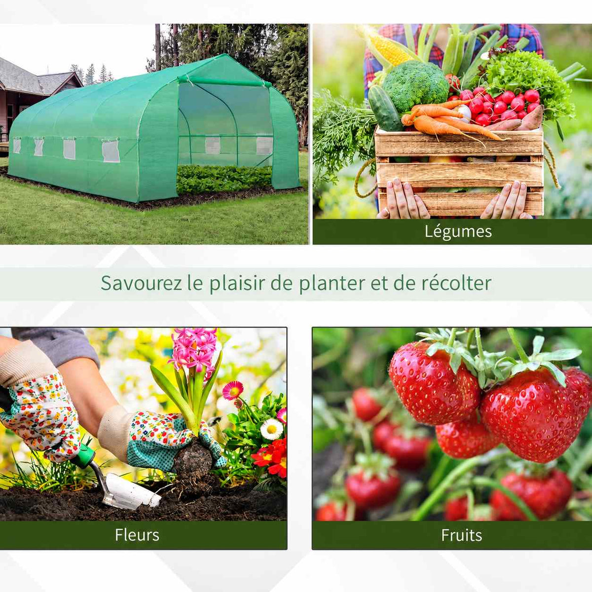 Serre tunnel et exemples de cultures de légumes, fleurs et fraises