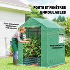 Femme entretenant les tomates par la porte ouverte de la serre verte