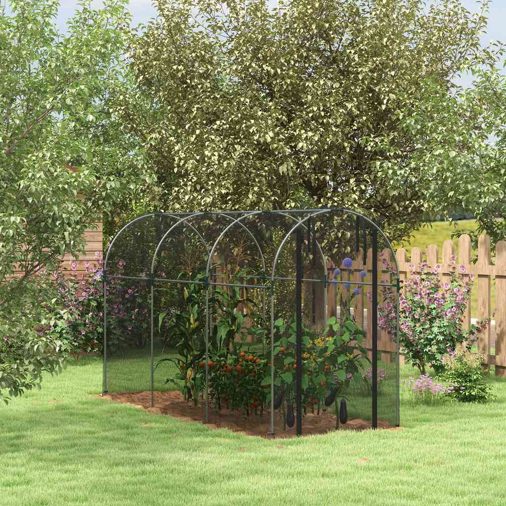 Cage fruitière noire protégeant des plantes au jardin