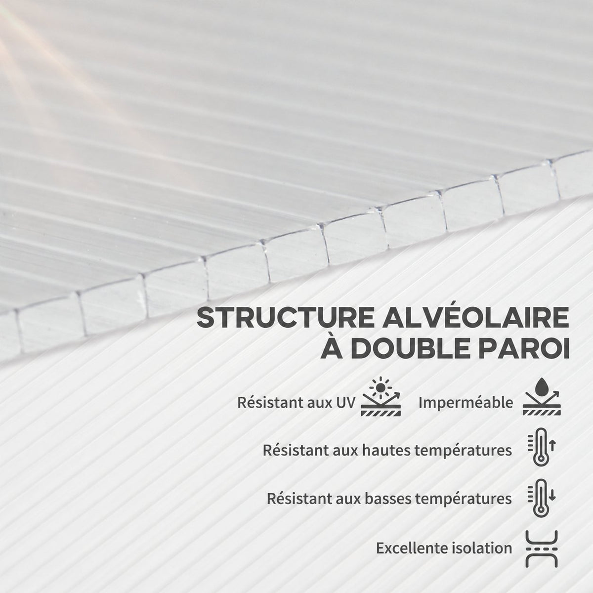 Gros plan de la structure alvéolaire à double paroi