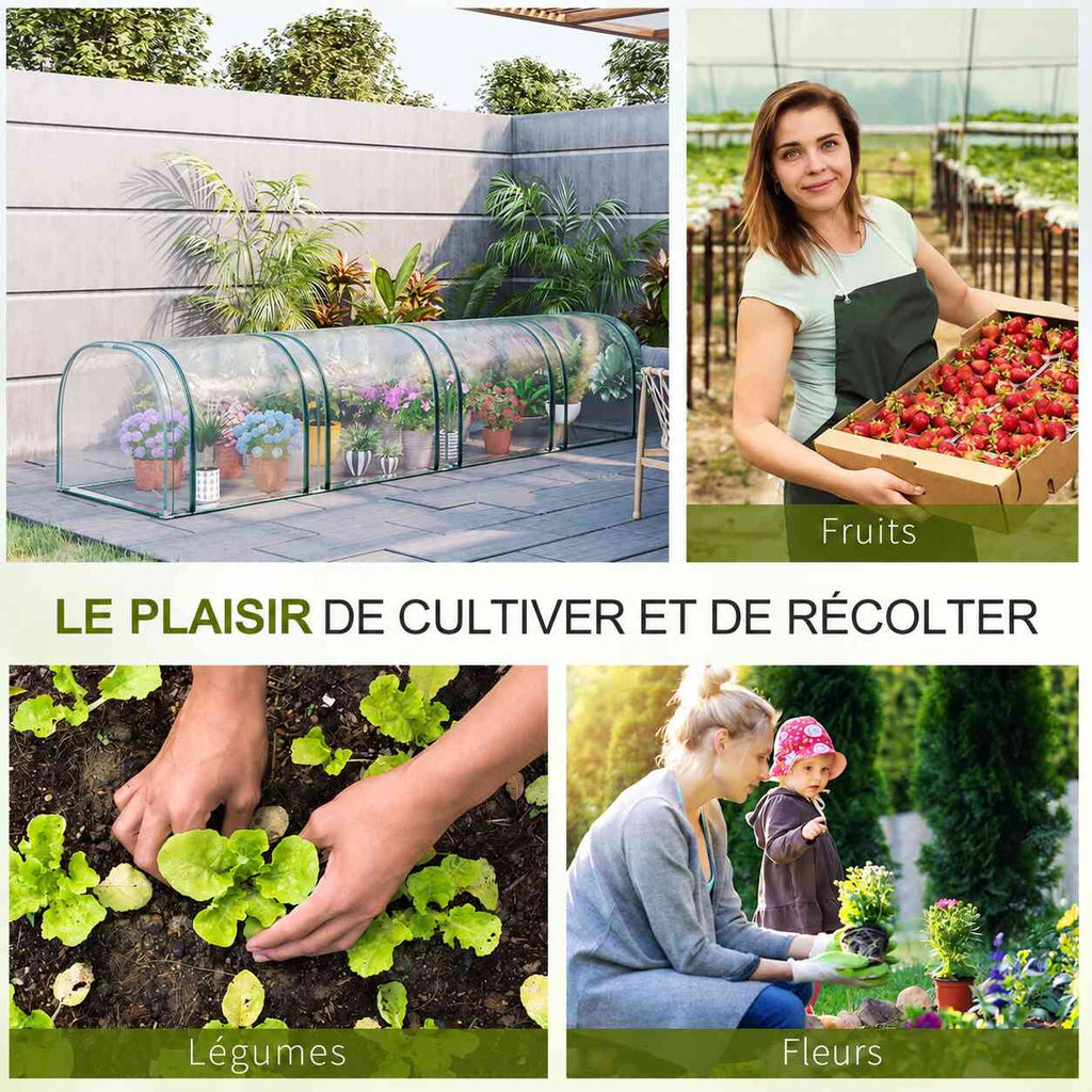 Montage de la mini serre tunnel et d’exemples de fruits, légumes et fleurs