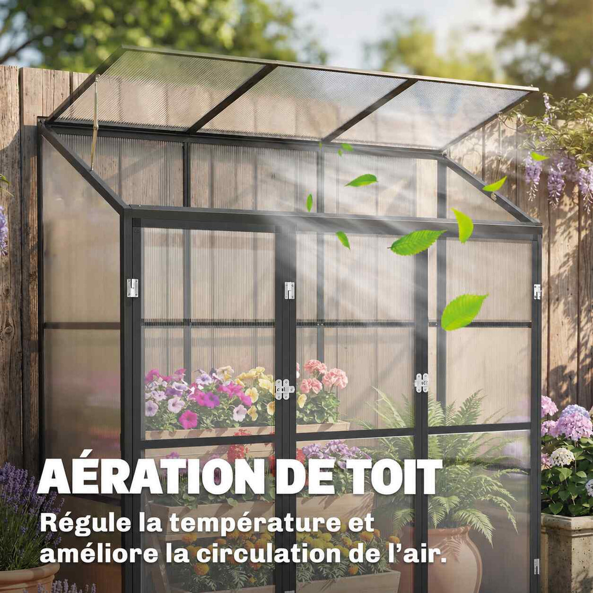 Serre adossée noire avec ouverture du toit et circulation de l’air illustrée