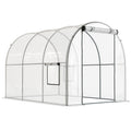Serre tunnel transparente avec porte enroulée