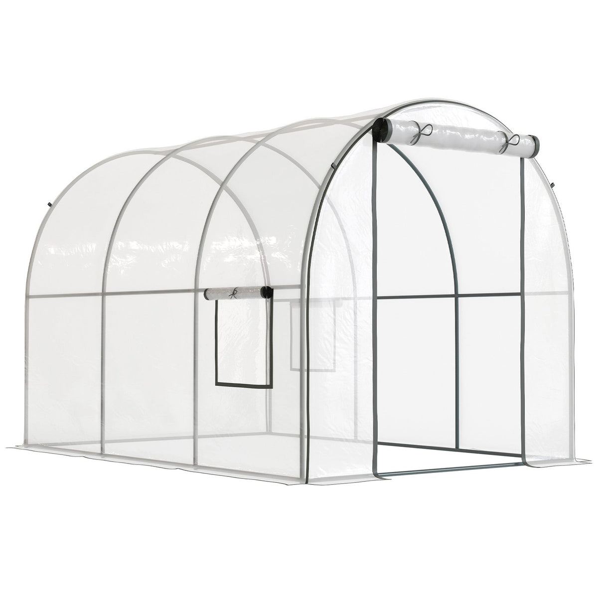 Serre tunnel transparente avec porte enroulée