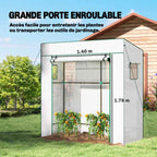Dimensions de la grande porte enroulable de la serre blanche