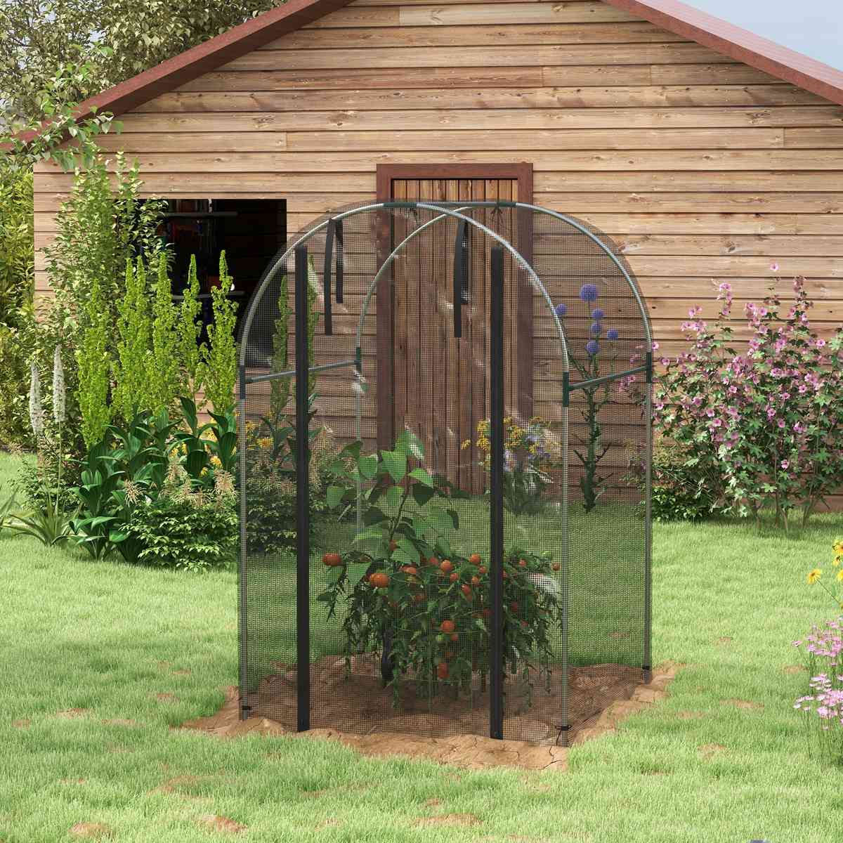 Cage fruitière noire avec plantes près d’un abri en bois