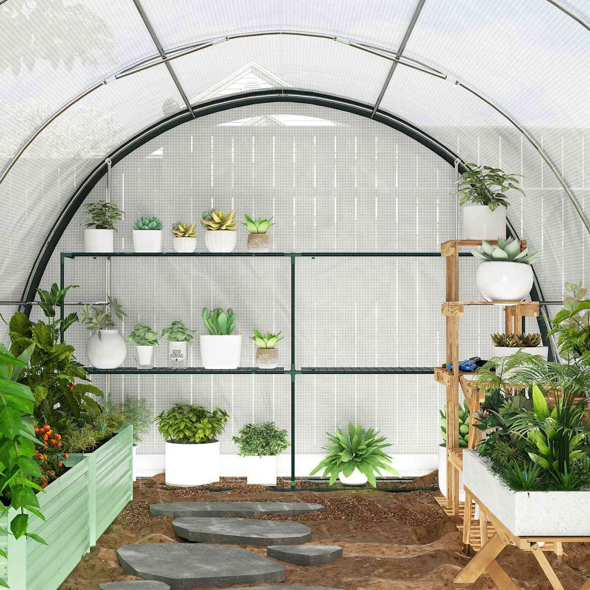Vue intérieure de la serre tunnel blanche avec plantes et étagères