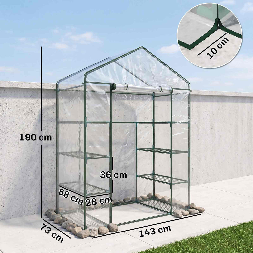 Dimensions de la petite serre transparente et de ses étagères