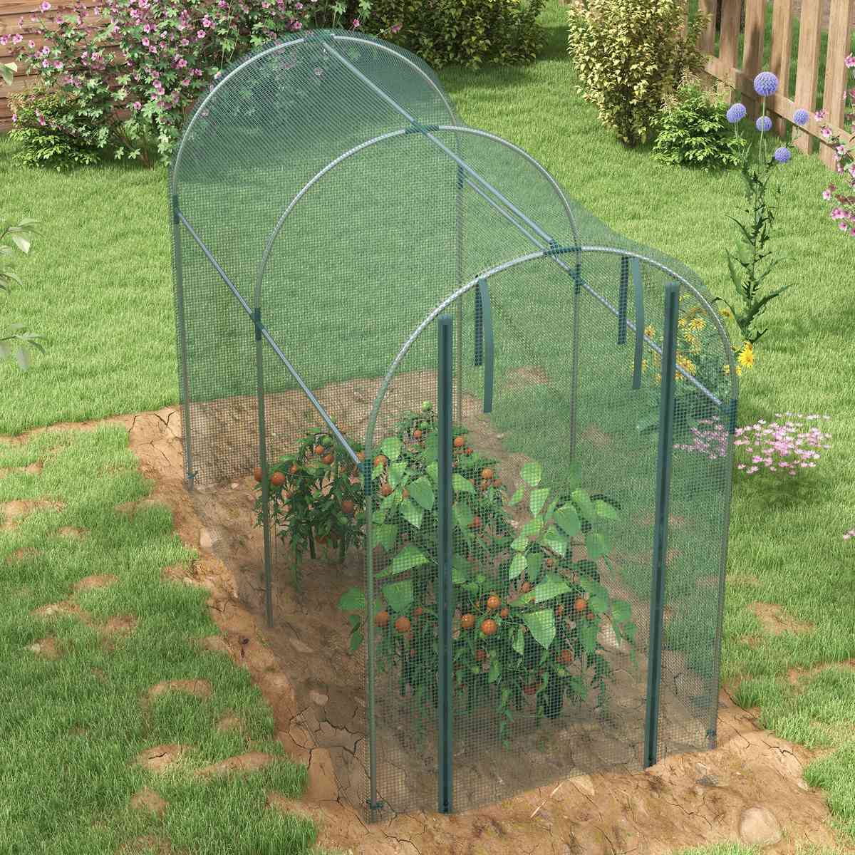 Cage fruitière verte avec cultures vue en hauteur