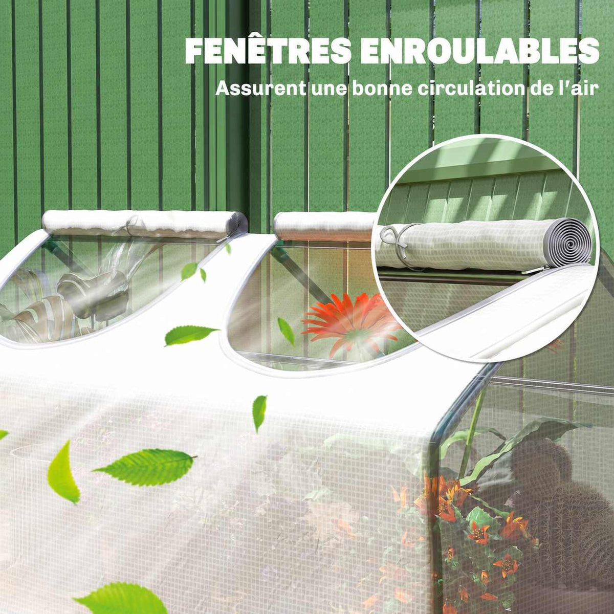 Deux fenêtres enroulables de la mini-serre blanche