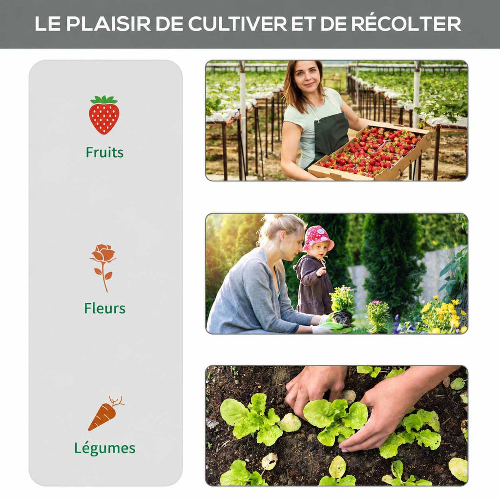 Montage illustrant la récolte de fruits, les fleurs et les cultures de légumes