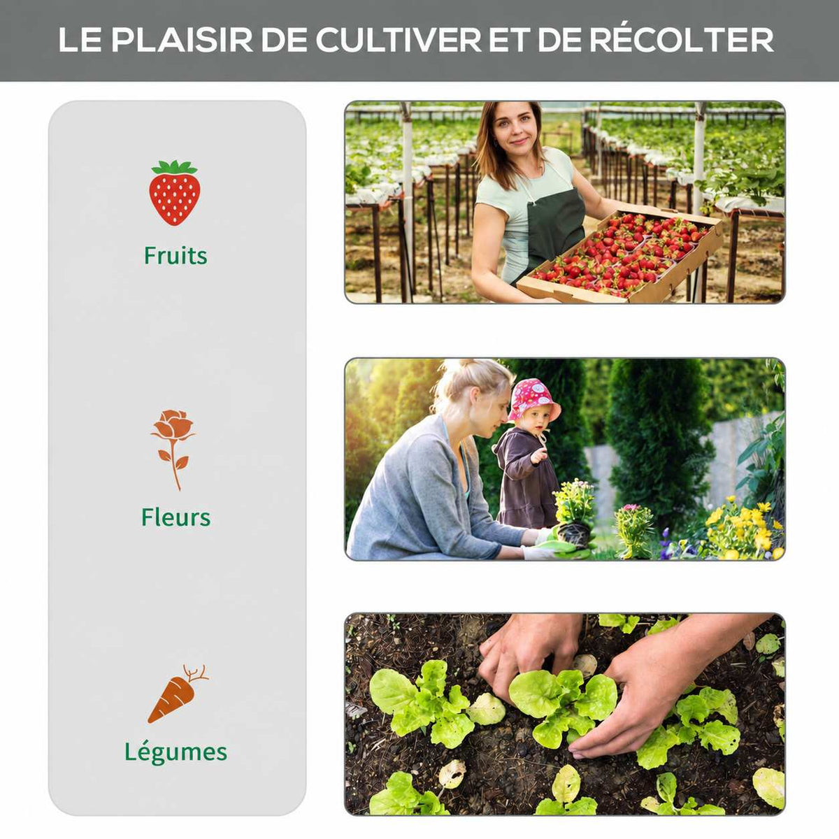 Montage illustrant la récolte de fruits, les fleurs et les cultures de légumes