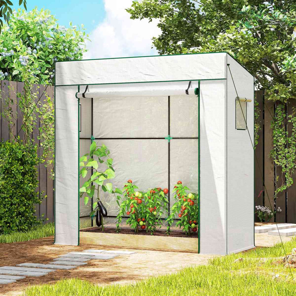 Serre blanche avec légumes près d’une allée de jardin