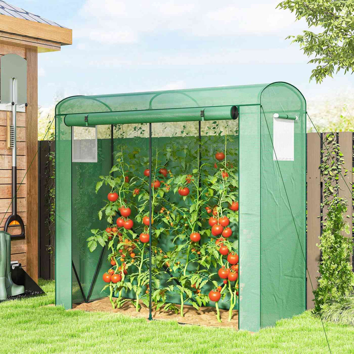 Serre verte abritant des plants de tomates dans le jardin