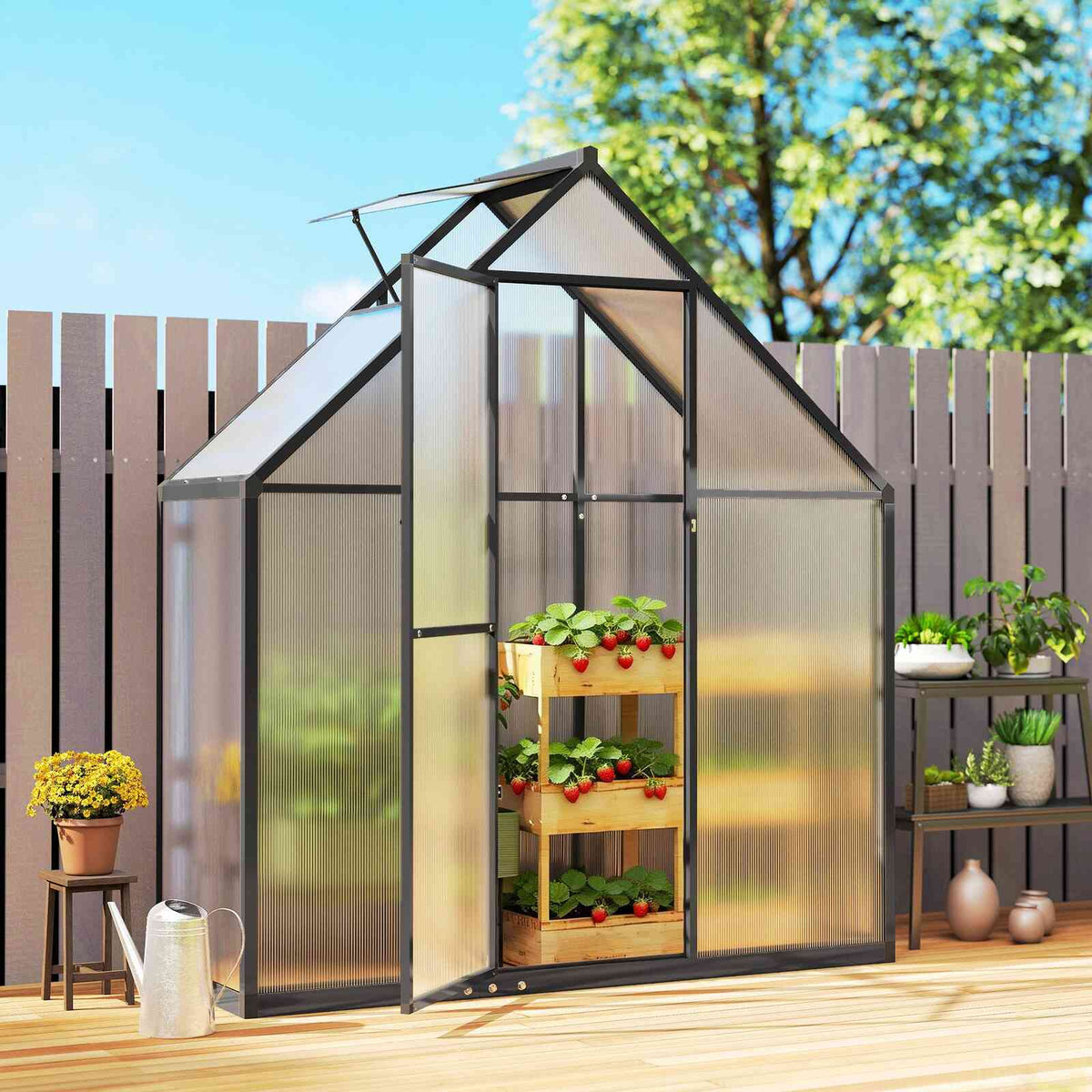 Serre étroite noire avec porte ouverte et étagère de plantes sur une terrasse