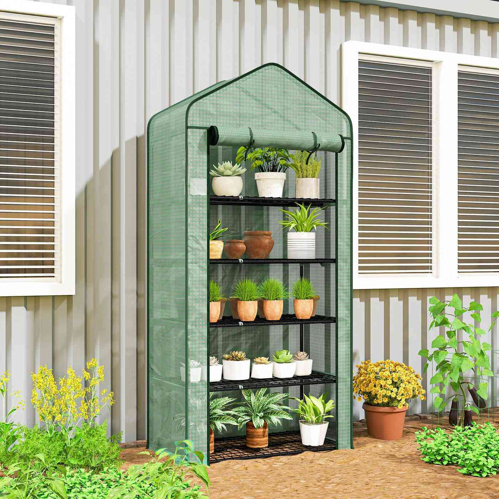 Serre verte remplie de plantes près d’un bâtiment