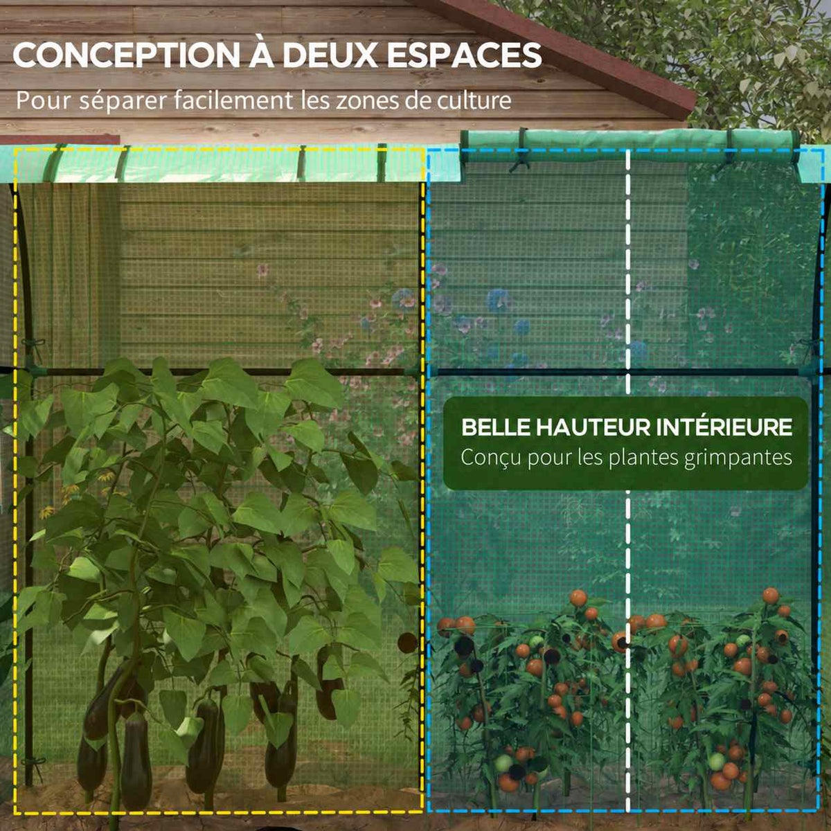 Serre verte avec illustration des deux zones de culture