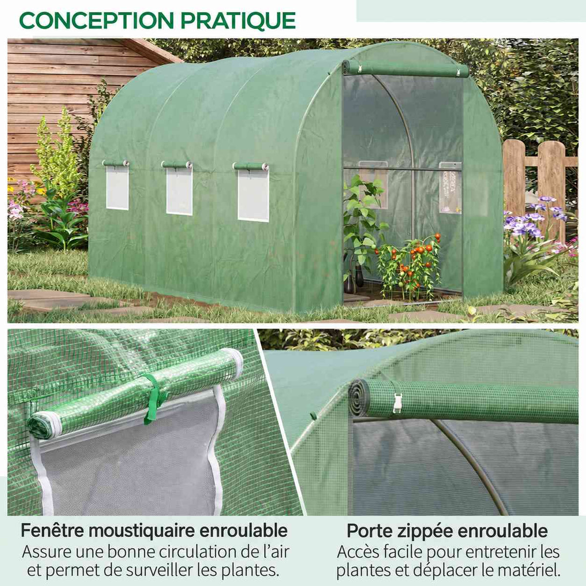 Détails de la fenêtre moustiquaire et de la porte enroulable de serre