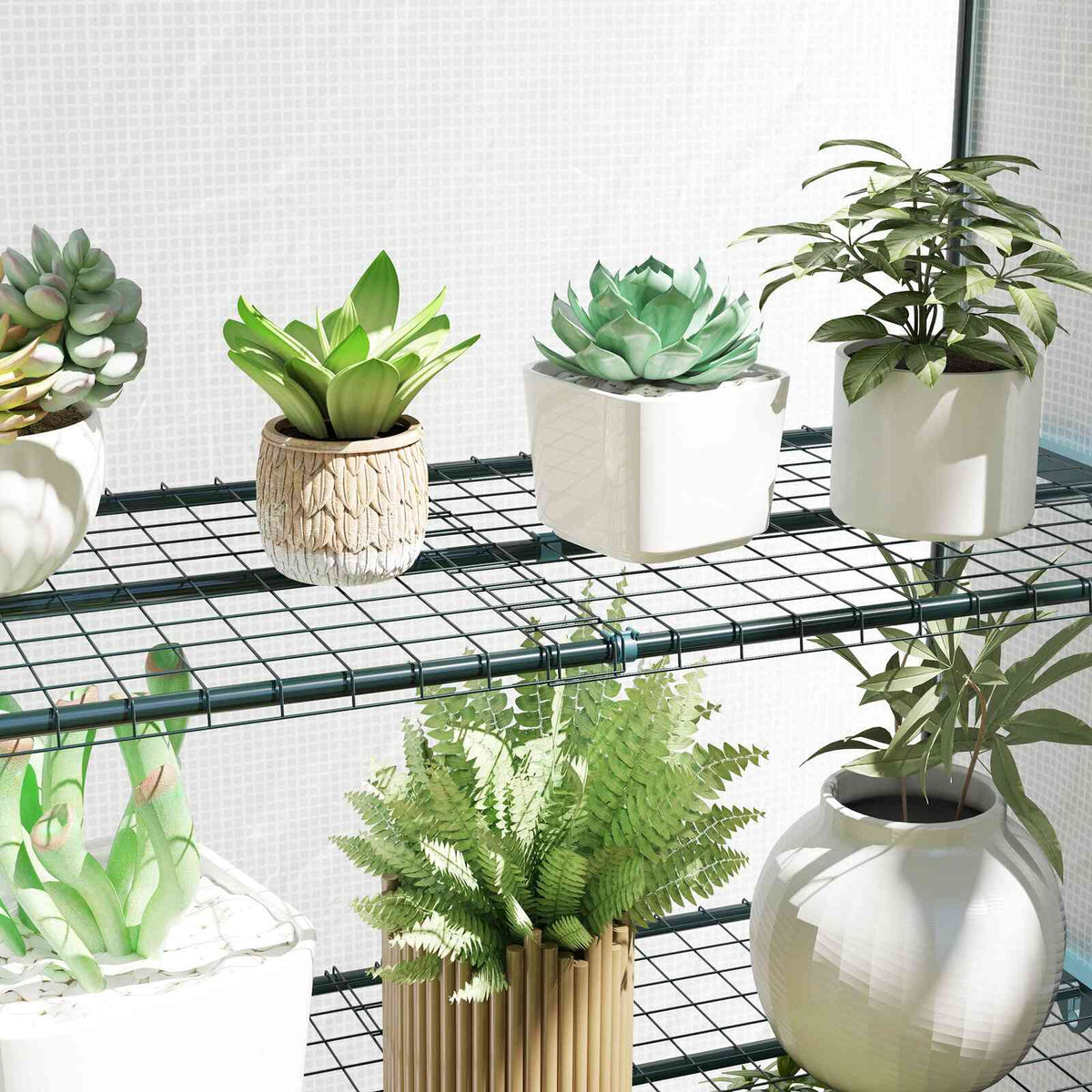Plantes en pots sur les étagères grillagées de la serre de balcon
