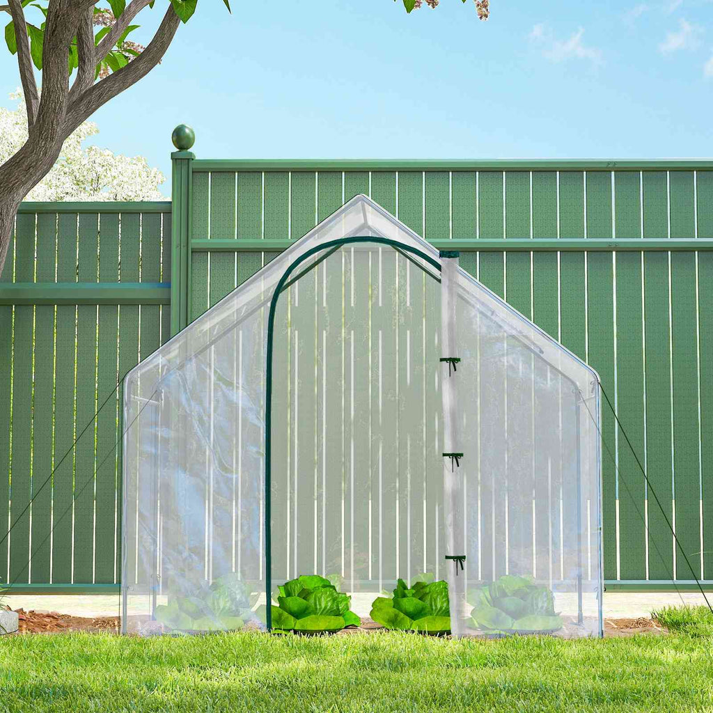 Serre transparente avec salades près d’une clôture verte