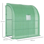 Dimensions de la serre verte : 200 × 100 × 215 cm