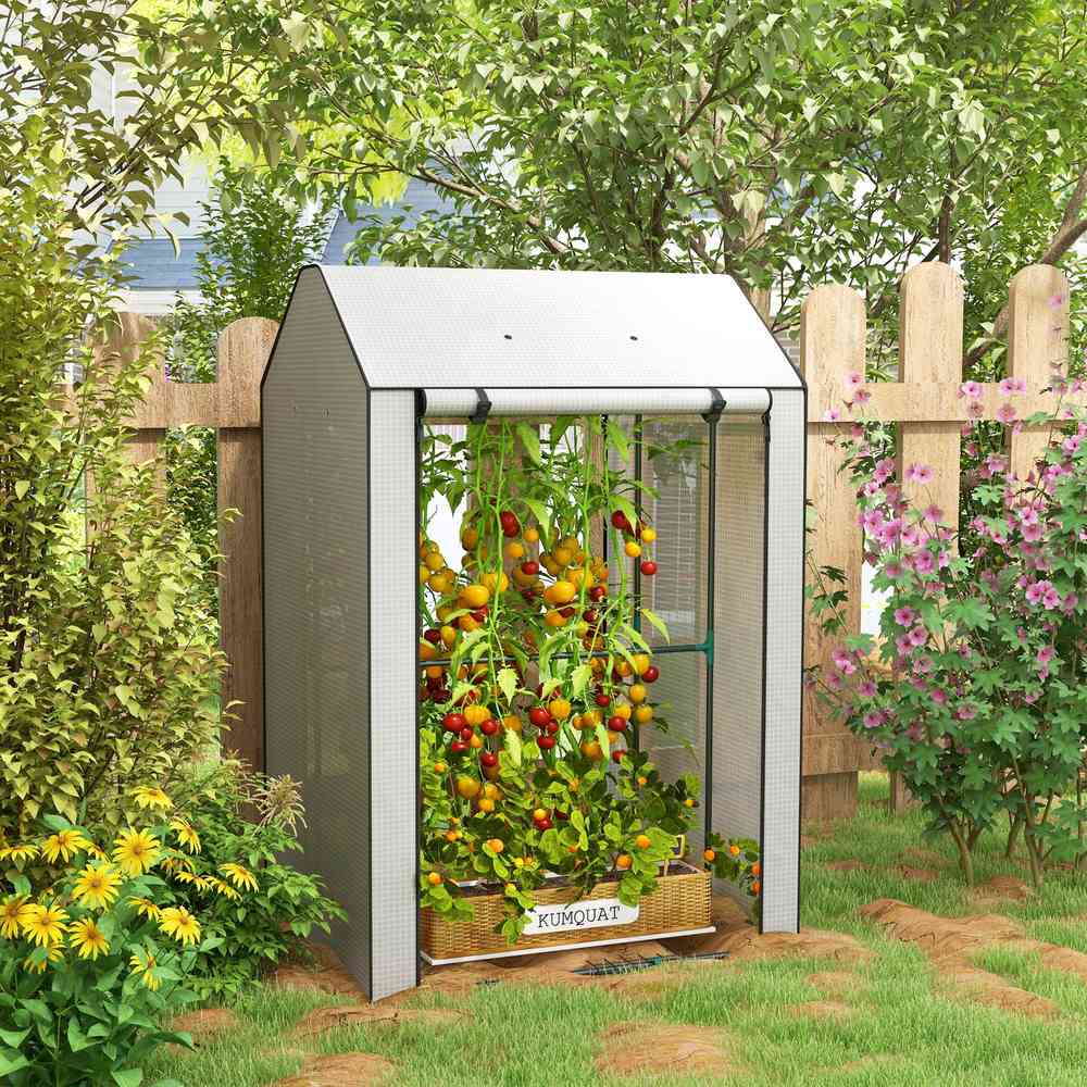 Serre blanche abritant un pied de tomates dans un jardin
