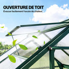 Lucarne du toit de la serre vert foncé relevée pour l’aération