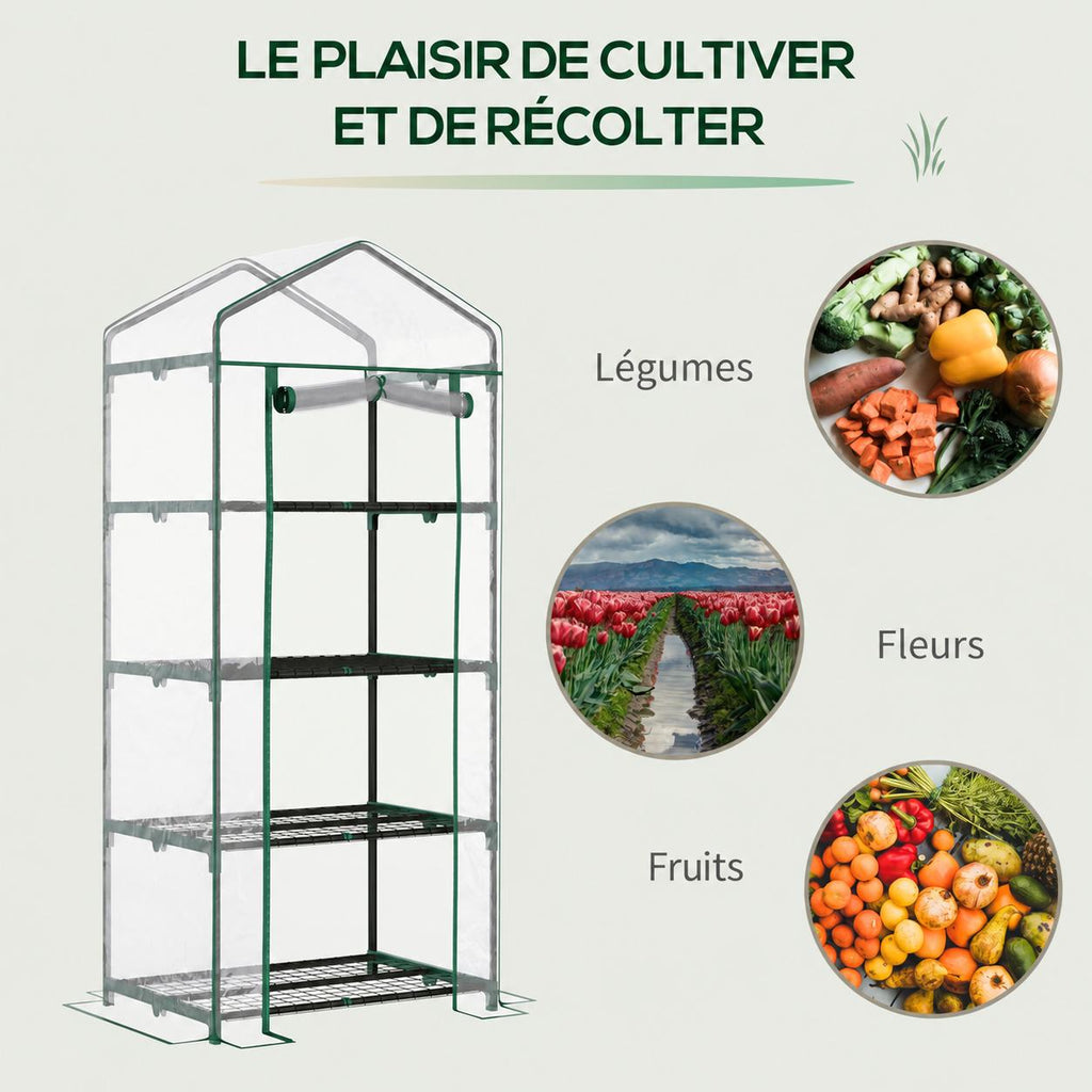 Serre à étagères et exemples de cultures de légumes, fleurs et fruits