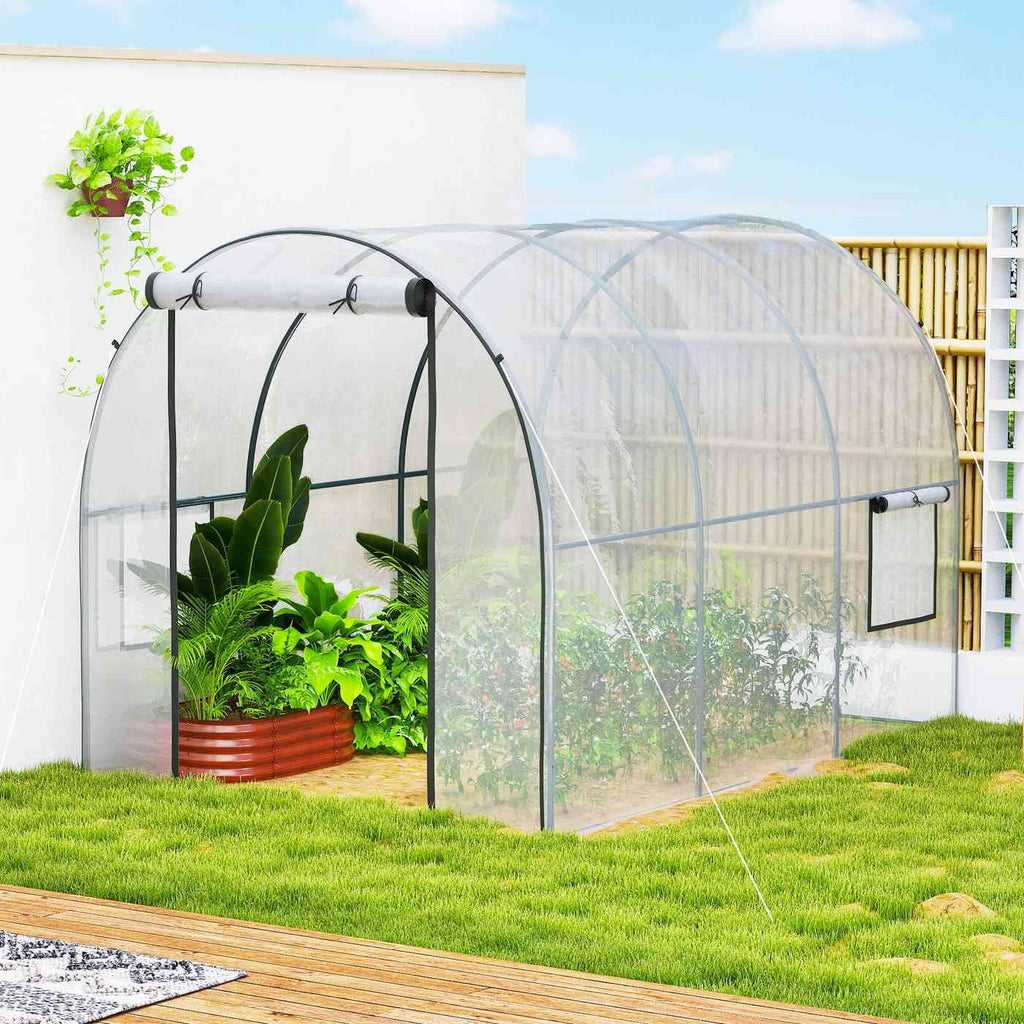 Serre transparente avec bacs de plantes près d’un mur